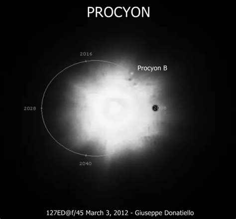 linear polarimeter for astrophysical observation the star procyon|procyon a space telescope.